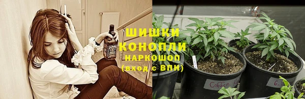2c-b Корсаков